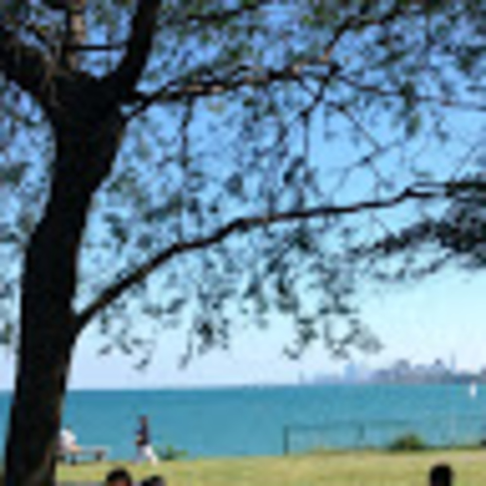 Meet your Posher, Harper